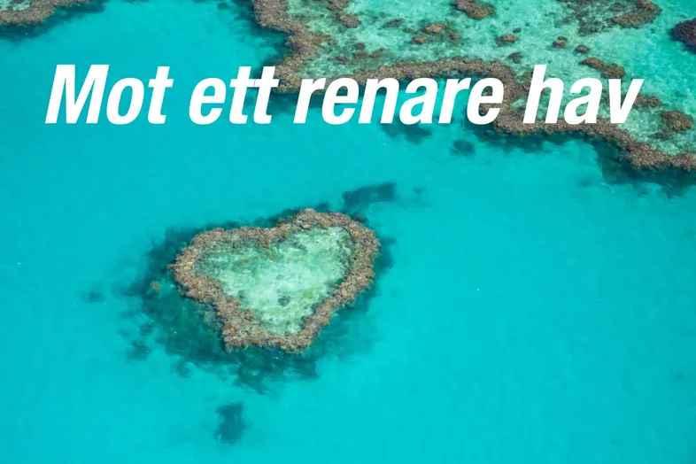 Blått och grönt hav med ett rev i form av ett hjärta. Text "Mot ett renare hav".